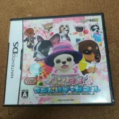 ニンテンドー任天堂NINTENDO　DS　ワンタメうらないチャンネル