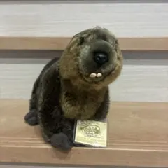 GANZ ウェブキンツ シグネチャー ビーバー ぬいぐるみ GANZ ウェブキンツ シグネチャー ビーバー ぬいぐるみ - メルカリ