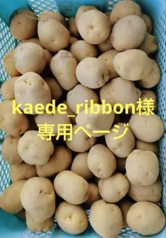 kaede_ribbon様専用ページです