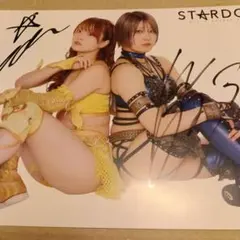 デッドオアアライブ2 ティナ B2サイズポスター - メルカリ