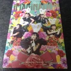 2025年最新】ももいろクローバーZ ももクロ 秋の二大祭り 男祭り