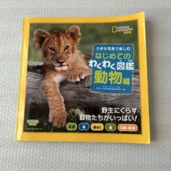 Item thumbnail for item f225f850-b732-4840-849b-25f37d48efc6