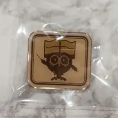ポケモンセンター ソードシールド ピンズコレクション カンパニーロゴ①