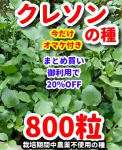Bee様 リクエスト 2点 まとめ商品