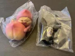 Item thumbnail for item 79fb11b7-134f-4452-ba25-3f81bbbbc5e2