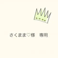 ✧*。さくまま♡様　専用ページです　.。.:*✧