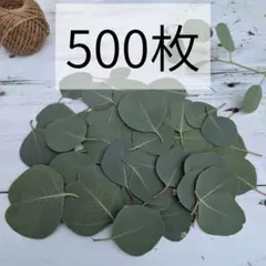 2025年最新】リーフシャワー ユーカリの人気アイテム - メルカリ