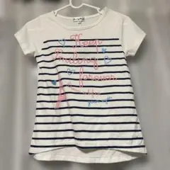 Sunny Landscape ボーダー Tシャツ 140cm
