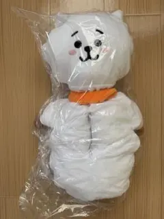 BT21 RJ アールジェイ　ティッシュカバー