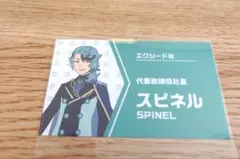ポケモン スピネル ブラッキー スナック シール ステッカー アニポケ