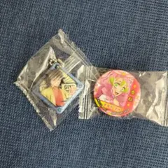 鬼滅の刃 くら寿司 ビッくらポン 冨岡義勇 甘露寺蜜璃