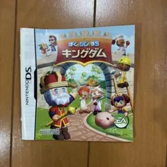 DSカセットの説明書(ぼくとシムのまち キングダム)