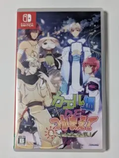 カエル畑DEつかまえて 夏 千木良参戦! switch