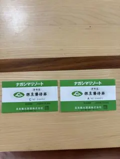 ナガシマジャンボ海水プール　格安優待券　大人1名分のサムネイル