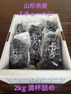 7.山形県寒河江産スチューベン　2kg満杯詰