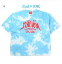 Item thumbnail for item 05ce361a-191c-46d3-ba65-014a164a32ac