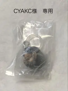 CYAKC様　専用