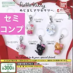セミコンプリートセット☆ハローキティ　めじるしアクセサリー
