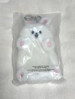 Straykids スキズ リノ トレカケース skzoo Leebit