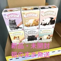 もっちりころりん　ねこ　6点セット