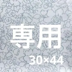 497リバティ カットクロス 30×20cm ベッツィブーパール タナローンラメ