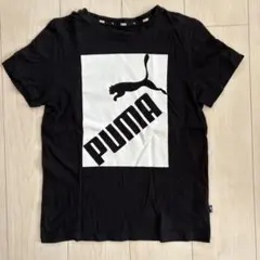 PUMA Tシャツ 150サイズ ブラック