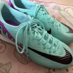 NIKE ナイキミントグリーン パープル 23cm