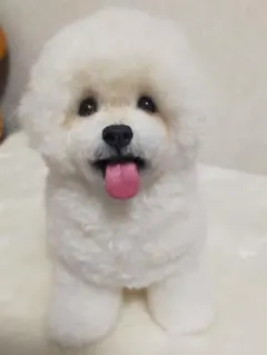 送料込み♡ビションフリーゼちゃん風♡立ちポーズ♡