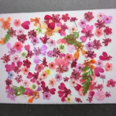 かにょ@プロフ必読様 リクエスト 2点 まとめ商品