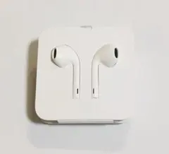 Apple 純正イヤホン ライトニング 変換アダプタ付き iPhone