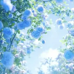 nao-u様 リクエスト 3点 まとめ商品