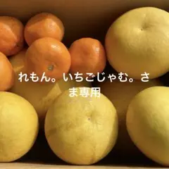 2026年最新】チャンドラポメロの人気アイテム - メルカリ