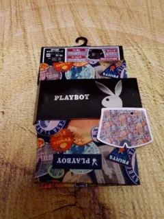 Item thumbnail for item 113061a8-bd0b-4757-ba04-0a72ad797275