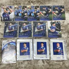 ジャパンラグビーリーグワン　静岡ブルーレヴズ　グッズ　13枚セット