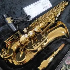 Item thumbnail for item 1533c271-f9b8-4715-bf95-7b4da1a2f8d7