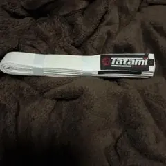 Item thumbnail for item 17e42ca1-f4b1-4344-afac-12cd5817d01a