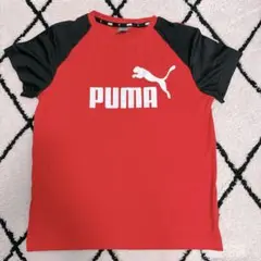 PUMA 半袖Tシャツ 赤/黒 サイズ150