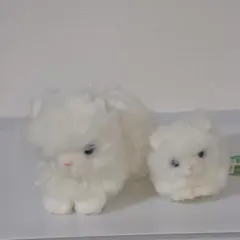 タケノコ　ペルシャネコ　 Petit Land Dream ぬいぐるみ2体セット