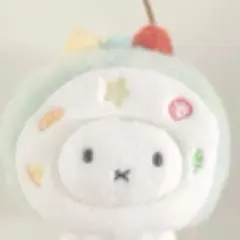 まむ様 リクエスト 2点 まとめ商品