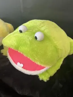 ★300円オークション★ バジェット　たぴお　約30センチ