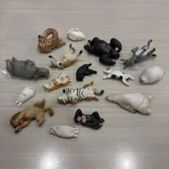 【ZooZooZoo】16体セット