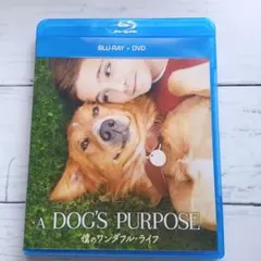 Item thumbnail for item 81594782-7aeb-42bb-81fb-a3876e2b45da