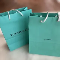 Tiffany & Co. ティファニーショッピングバッグ 二枚セット