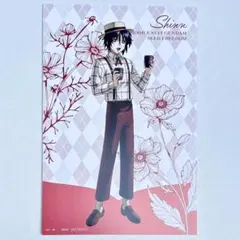 シン　特典ポストカード　preppy style　ガンダムSEED