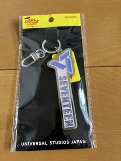 SEVENTEEN ダンスナイツ キーホルダー