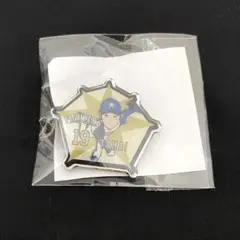 【激レア入り・未使用品】日本ハムファイターズ グッズまとめ 激レア入り】日本ハムファイターズ グッズまとめ
