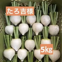 たろ吉様専用★辛味大根『辛之助』 Mメイン5㎏