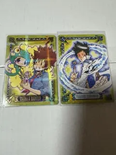 家庭教師ヒットマンREBORN　サザンクロス　サポートカード　2枚