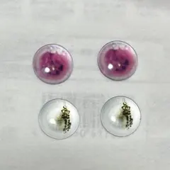 ネオブライス サイズ アイチップ #35 2ペアセット