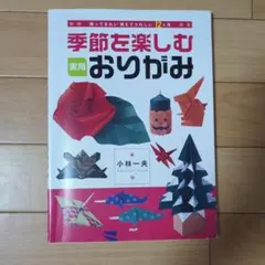 季節を楽しむ実用おりがみ : 飾ってきれい、使えてうれしい12ヵ月